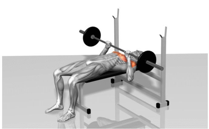 真人版《七龍珠》已上線，54歲健美運動員如何打造龜仙人身材？