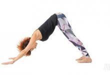 每天一式學瑜伽：下犬式！有效改善頭痛與失眠