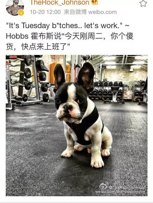 大塊頭有大智慧 巨石強森的健身歷程 大塊頭有大智慧 巨石強森的健身歷程