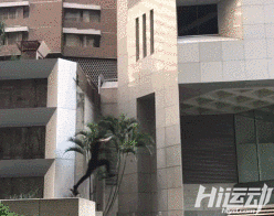 真人版刺客信條！極限運(yùn)動(dòng)，生命與挑戰(zhàn)之間的博弈