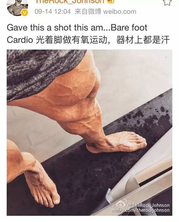 大塊頭有大智慧 巨石強森的健身歷程 大塊頭有大智慧 巨石強森的健身歷程