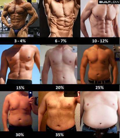 簡單測量體脂率 各段體脂對照圖