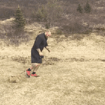 2018年世界大力士冠軍，硬拉1041磅打破世界紀錄：喜歡小狗狗