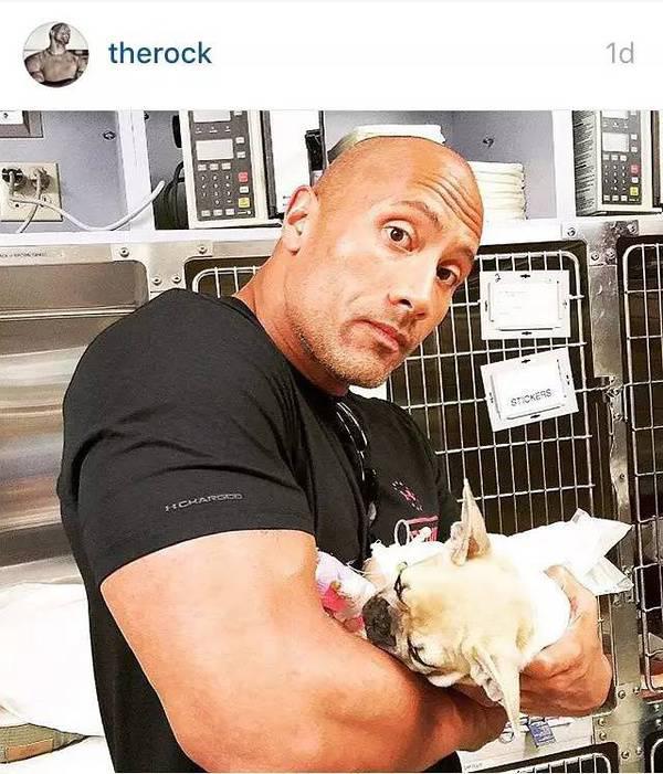 大塊頭有大智慧 巨石強森的健身歷程 大塊頭有大智慧 巨石強森的健身歷程