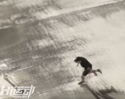 真人版刺客信條！極限運(yùn)動(dòng)，生命與挑戰(zhàn)之間的博弈