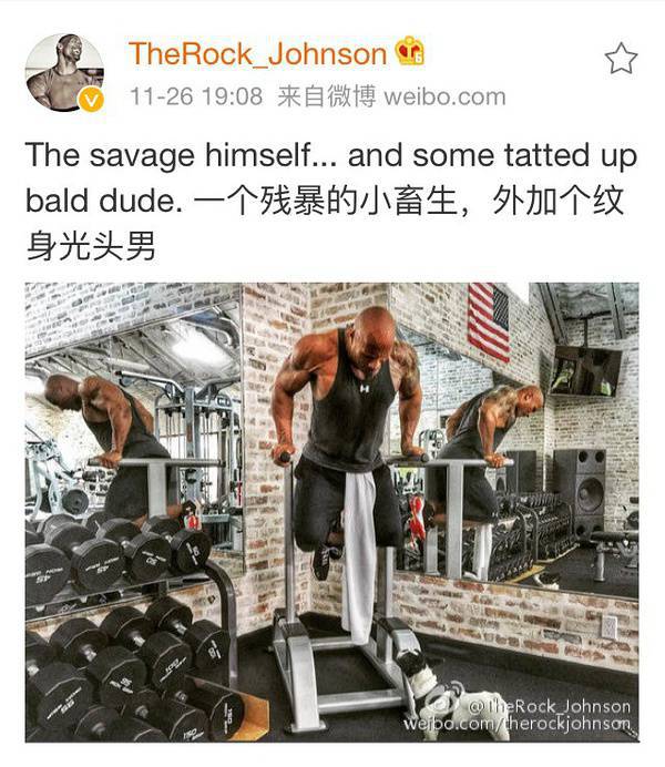 大塊頭有大智慧 巨石強森的健身歷程 大塊頭有大智慧 巨石強森的健身歷程