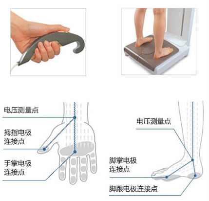 InBody介紹 什么是人體成分分析儀