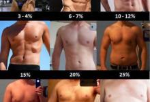 簡單測量體脂率 各段體脂對照圖