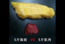 利用InBody,5分鐘讀懂你的身體