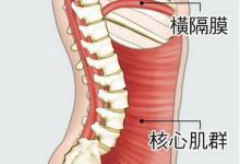 核心≠腹肌 認識核心肌群和訓練方法