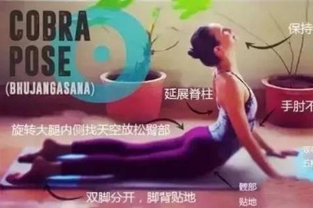 練習瑜伽眼鏡蛇式動作,千萬注意避免這些誤區-易網<a href=http://www.xllyou.com/ target=_blank class=infotextkey>健康養生</a>網 練習瑜伽眼鏡蛇式動作,千萬注意避免這些誤區