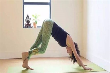 女性練習下犬式姿勢不規范,不如試試這樣的改進動作-易網<a href=http://www.xllyou.com/ target=_blank class=infotextkey>健康養生</a>網 女性練習下犬式姿勢不規范,不如試試這樣的改進動作