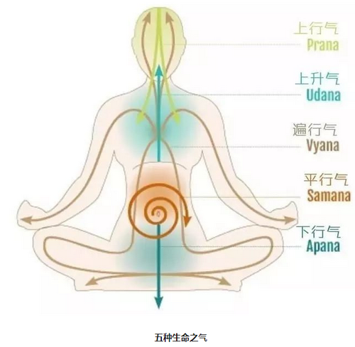 瑜伽動作進行增強氣息 鍛煉特殊瑜伽動作增強內(nèi)氣