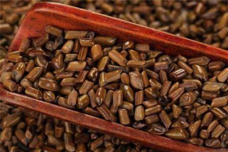 決明子的減肥功效-易網(wǎng)健康<a href=http://www.xllyou.com/jkys/ target=_blank class=infotextkey>養(yǎng)生</a>網(wǎng) 決明子的減肥功效