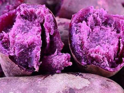 紫薯減肥法5天減十斤方法