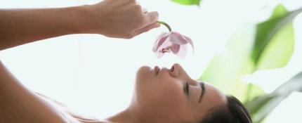 中藥減肥的方法有哪些-易網(wǎng)<a href=http://www.xllyou.com/ target=_blank class=infotextkey>健康養(yǎng)生</a>網(wǎng) 中藥減肥的方法有哪些