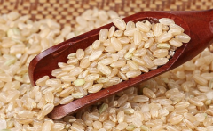 中藥減肥的方法有哪些