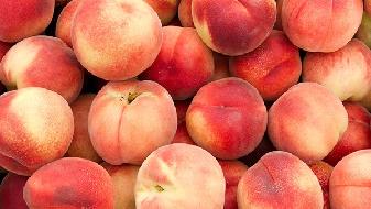 科學減肥方法,諸多明星都在用-易網健康養生網 科學減肥方法,諸多明星都在用