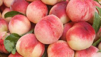 減肥小提醒,少吃一餐不變瘦的原因-易網健康<a href=http://www.xllyou.com/jkys/ target=_blank class=infotextkey>養生</a>網 減肥小提醒,少吃一餐不變瘦的原因