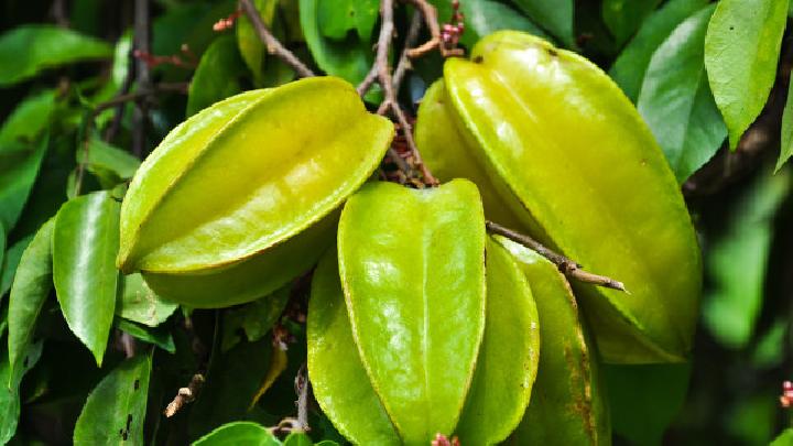 蜂蜜減肥食譜是常見的營養(yǎng)品 4種蜂蜜減肥食譜排毒養(yǎng)顏-易網(wǎng)<a href=http://www.xllyou.com/ target=_blank class=infotextkey>健康養(yǎng)生</a>網(wǎng) 蜂蜜減肥食譜是常見的營養(yǎng)品 4種蜂蜜減肥食譜排毒養(yǎng)顏