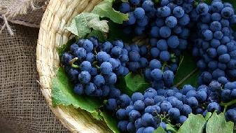 飲食提醒 早餐吃3物，就能讓你快速變瘦