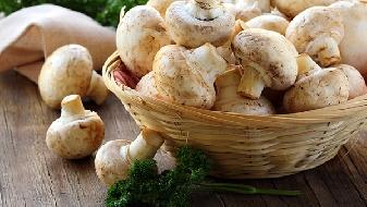 減肥能吃脂肪嗎,減肥時食用脂肪正確方式-易網<a href=http://www.xllyou.com/ target=_blank class=infotextkey>健康養生</a>網 減肥能吃脂肪嗎,減肥時食用脂肪正確方式