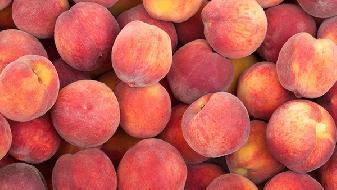 減肥餐要吃幾分飽?看看專家怎么說-易網健康養生網 減肥餐要吃幾分飽?看看專家怎么說