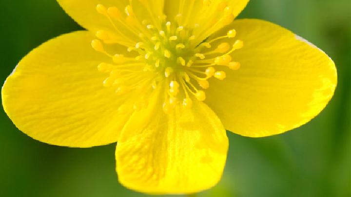 女性產(chǎn)后營養(yǎng)減肥餐吃什么好 女性產(chǎn)后健康減肥食譜推薦