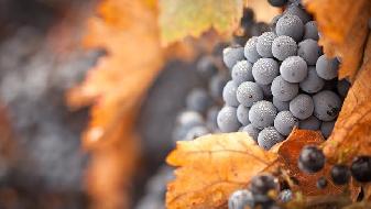 8個日常習慣 不節食也能瘦-易網健康養生網 8個日常習慣 不節食也能瘦