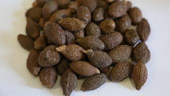 最新的3個飲食減肥觀點，學會就能瘦