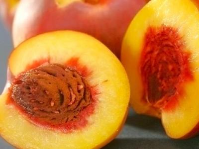 低碳成了個熱門詞! 低碳豐胸安全又環(huán)保