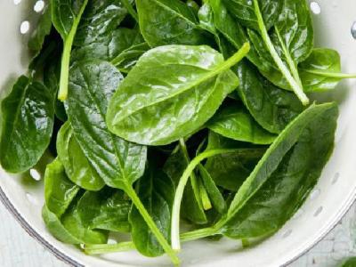 海帶決明子減肥可行嗎？海帶決明子有減肥功效嗎？