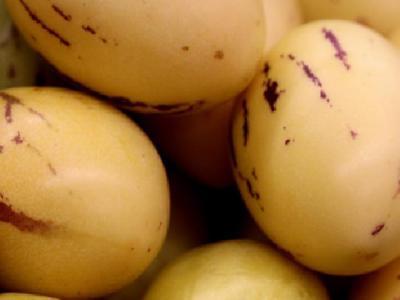 如何避免減肥導致的月經不調？總結減肥導致月經不調的要點