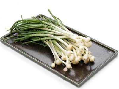 臍療的特點是什么？臍療減肥效果怎么樣？