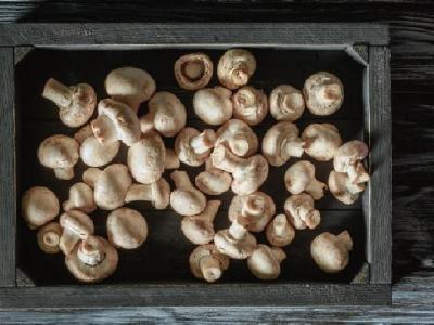 中醫減肥有什么優勢?中醫減肥的特點是什么?