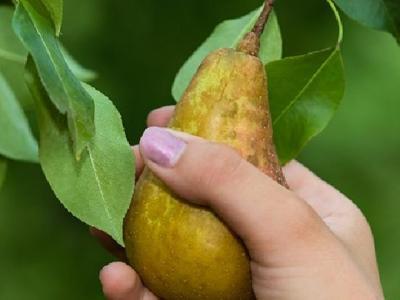 喝水能減肥嗎?喝水對減肥有哪些好處?