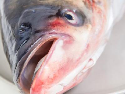 綠豆糕能夠減肥嗎？綠豆糕有減肥功效嗎？