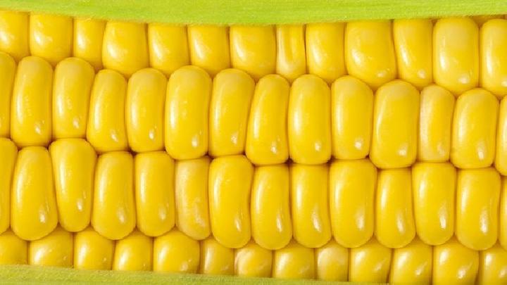 番茄的減肥功效是怎樣的?吃番茄能減肥嗎?-易網健康<a href=http://www.xllyou.com/jkys/ target=_blank class=infotextkey>養生</a>網 番茄的減肥功效是怎樣的?吃番茄能減肥嗎?