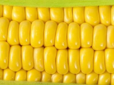 番茄的減肥功效是怎樣的？吃番茄能減肥嗎？