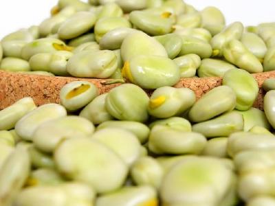 如何用健身球減肥?健身球減肥操動作有什么?