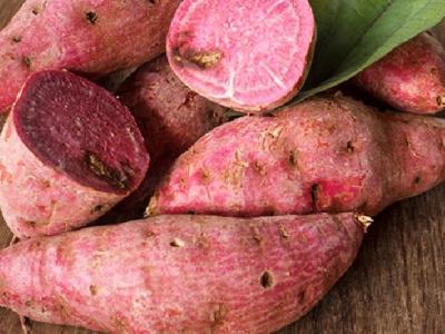 喝烏龍茶多久能減肥?喝烏龍茶減肥的注意事項