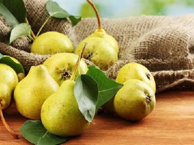 荷葉茶可以減肥嗎？荷葉加山楂泡水喝能減肥嗎？