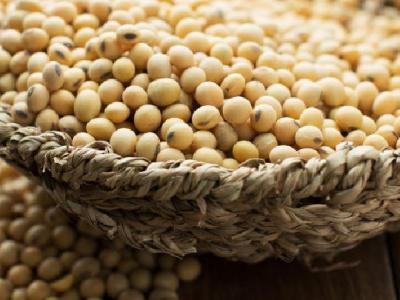 春季減肥吃什么好?春季減肥飲食推薦