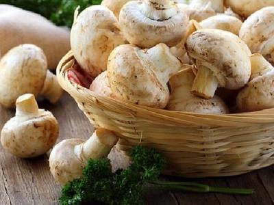 纖瘦針灸減肥會(huì)反彈嗎？中醫(yī)針灸能減肥嗎？