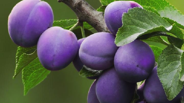 紅薯能減肥 注意紅薯這樣吃更容易瘦-易網健康<a href=http://www.xllyou.com/jkys/ target=_blank class=infotextkey>養生</a>網 紅薯能減肥 注意紅薯這樣吃更容易瘦