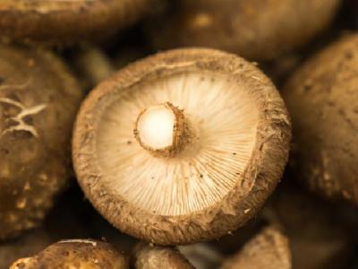 如何減肥不反彈？想要減肥不反彈就要注意這些