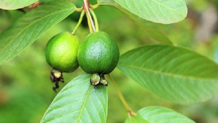 冬瓜減肥湯怎么做？冬瓜減肥湯的做法分享