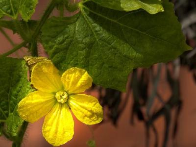 按摩哪個穴位可以減肥？按摩減肥方法介紹