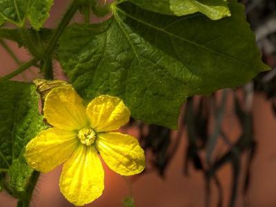 久坐辦公室如何減肥?教你利用午休全身輕松瘦