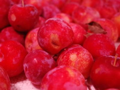 中藥美容減肥茶有什么？推薦這4款就能瘦身又滋補